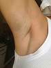     
: ImageUploadedByTapatalk1408263341.239463.jpg
: 202
:	27,1 
ID:	113429