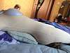    
: ImageUploadedByTapatalk1414737534.299814.jpg
: 694
:	69,7 
ID:	118765