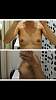     
: d47fe54a.jpg
: 185
:	27,2 
ID:	170957