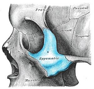     
: 6e2c068d.jpg
: 64
:	58,1 
ID:	236071