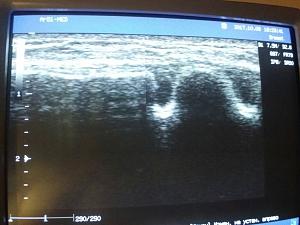 ������� �� ����������� ��� ����������
��������: 38f5a755.jpg
����������: 112
������:	67,7 ��
ID:	242369