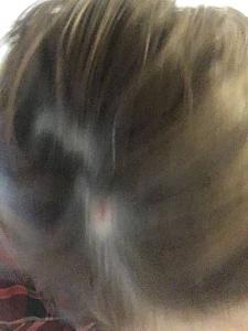     
: 6436ca75.jpg
: 67
:	26,2 
ID:	247779