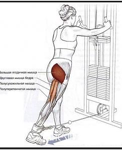 ������� �� ����������� ��� ����������
��������: 88f43175.jpg
����������: 83
������:	59,5 ��
ID:	269271