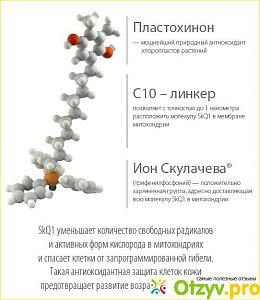     
: b18f4b27.jpg
: 42
:	83,6 
ID:	287366