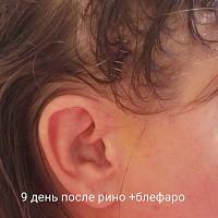     
: 3fdba143.jpg
: 104
:	35,6 
ID:	293667