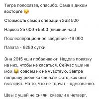     
: 76cd4996.jpg
: 88
:	120,8 
ID:	298182