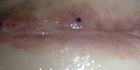     
: 32bfe356.jpg
: 232
:	21,6 
ID:	304451
