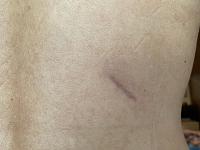     
: b629958a.jpg
: 105
:	77,2 
ID:	312253