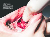     
: f8e7d359.jpg
: 241
:	79,8 
ID:	316935