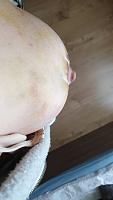     
: e225a17d.jpg
: 154
:	18,1 
ID:	320111