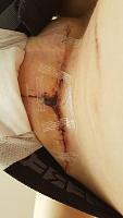     
: de258083.jpg
: 445
:	19,7 
ID:	335854