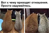     
: e47305ea.jpg
: 148
:	82,5 
ID:	337183