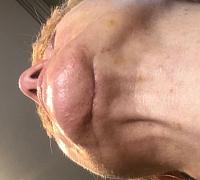 ������� �� ����������� ��� ����������
��������: 8887e99f.jpg
����������: 230
������:	31,9 ��
ID:	340615