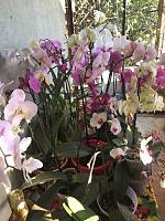     
: 195c855b.jpg
: 108
:	34,6 
ID:	344505