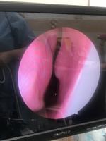     
: 03e26f56.jpg
: 77
:	14,2 
ID:	371169
