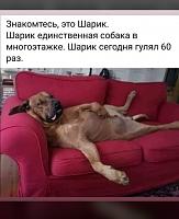     
: 54313b70.jpg
: 149
:	44,5 
ID:	373023