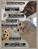     
: e33ddb97.jpg
: 301
:	56,3 
ID:	375830