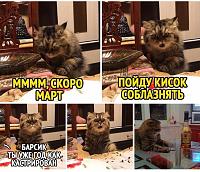     
: 46037dfc.jpg
: 103
:	81,1 
ID:	405916