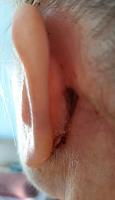     
: 6955f430.jpg
: 58
:	24,4 
ID:	442102