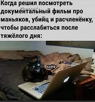     
: 213f13b5.jpg
: 152
:	61,0 
ID:	458621