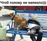    
: a29c0fd7.jpg
: 201
:	130,9 
ID:	462517