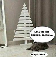     
: edef2678.jpg
: 178
:	39,0 
ID:	463096