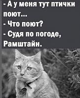 ������� �� ����������� ��� ����������
��������: 5f4b0704.jpg
����������: 122
������:	49,9 ��
ID:	472113