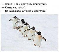     
: b7924989.jpg
: 188
:	58,8 
ID:	475680