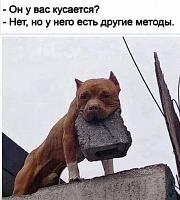     
: 36ac7e55.jpg
: 126
:	95,1 
ID:	479355