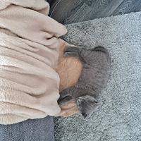 ������� �� ����������� ��� ����������
��������: f8f25c4f.jpg
����������: 79
������:	114,1 ��
ID:	490300