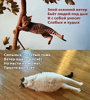     
: e9a44366.jpg
: 228
:	122,1 
ID:	496718