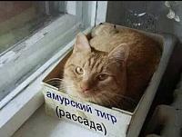     
: c27ac26e.jpg
: 174
:	98,5 
ID:	496719