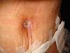     
: DSC06285.jpg
: 260
:	30,6 
ID:	62066