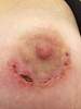     
: ImageUploadedByTapatalk1383810497.169846.jpg
: 488
:	23,6 
ID:	96008