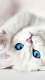 ������ ��� Yulee